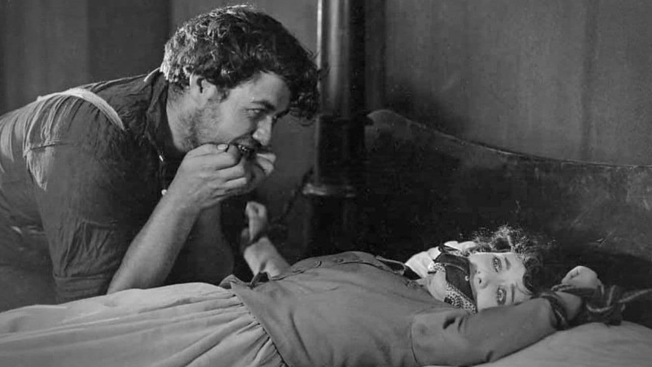 Backdrop – Wild Oranges