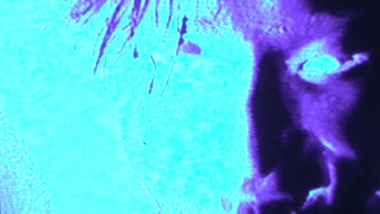 Backdrop – G.I.S.M.「烈波壊虐音群突入911」