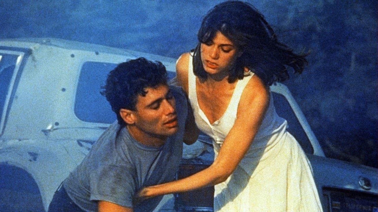 Backdrop – Wildfire