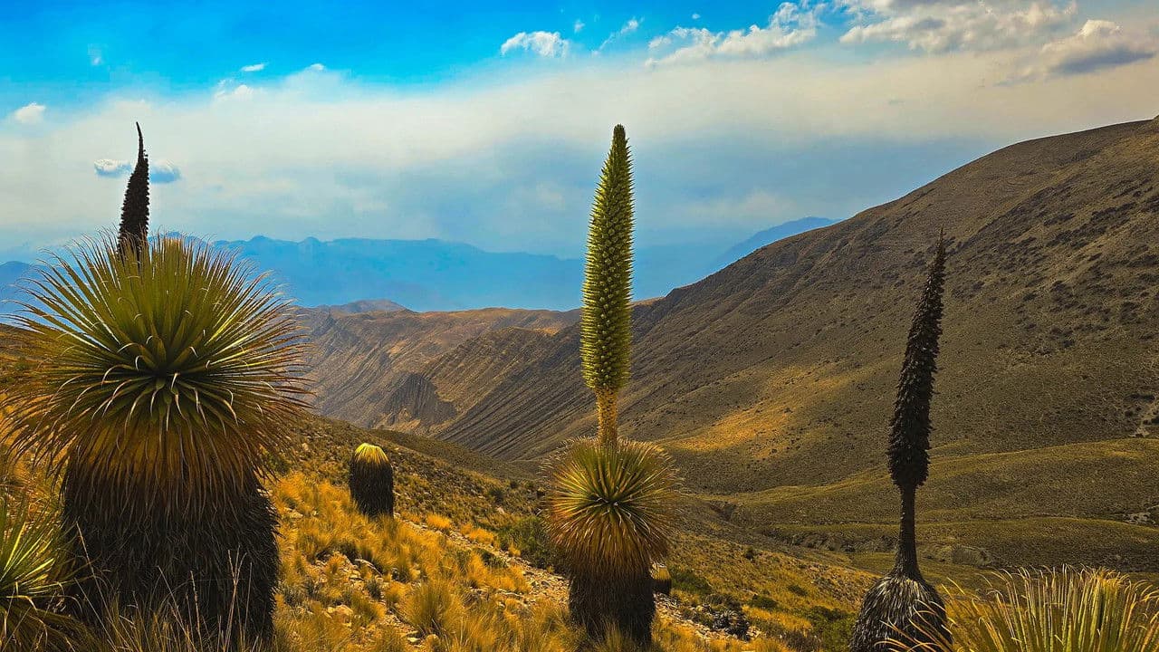 Backdrop – Oasen: Inseln des Lebens