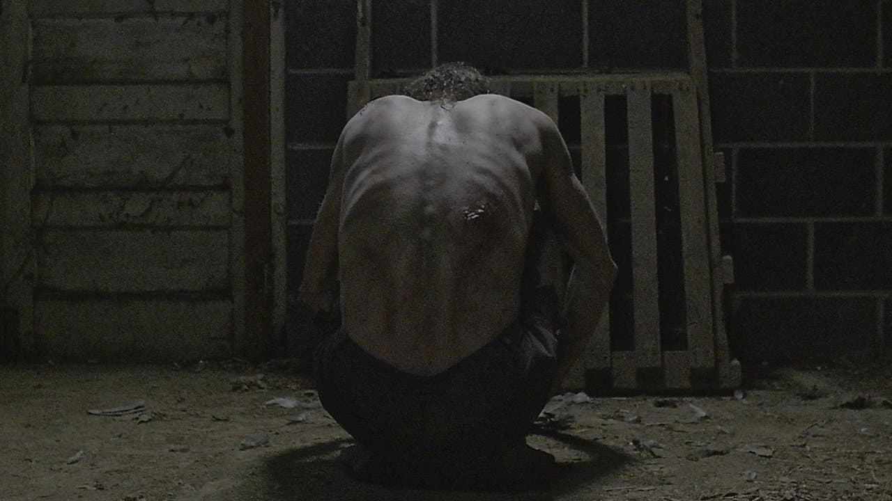 Backdrop – The Suffering