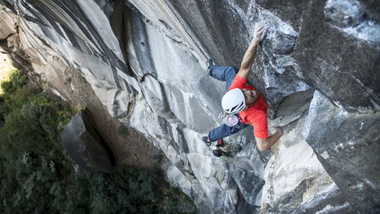 Backdrop – Zembrocal