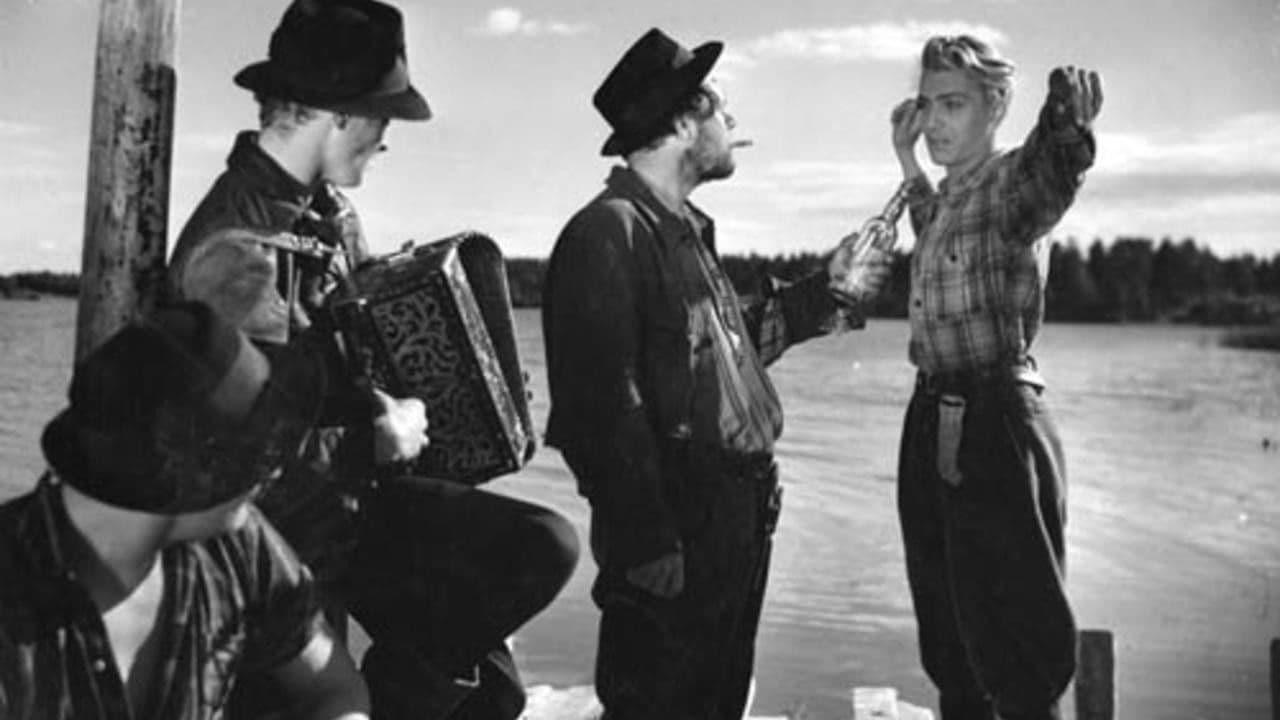 Backdrop – Ihmiset suviyössä