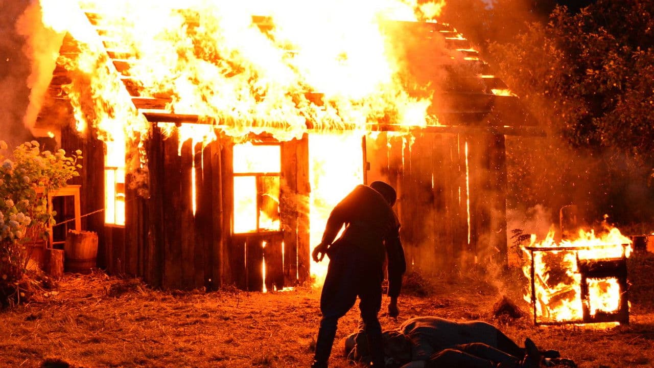 Backdrop – Trispalvis