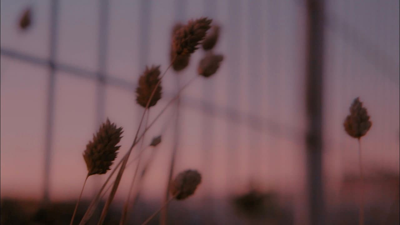 Backdrop – Growing Pains
