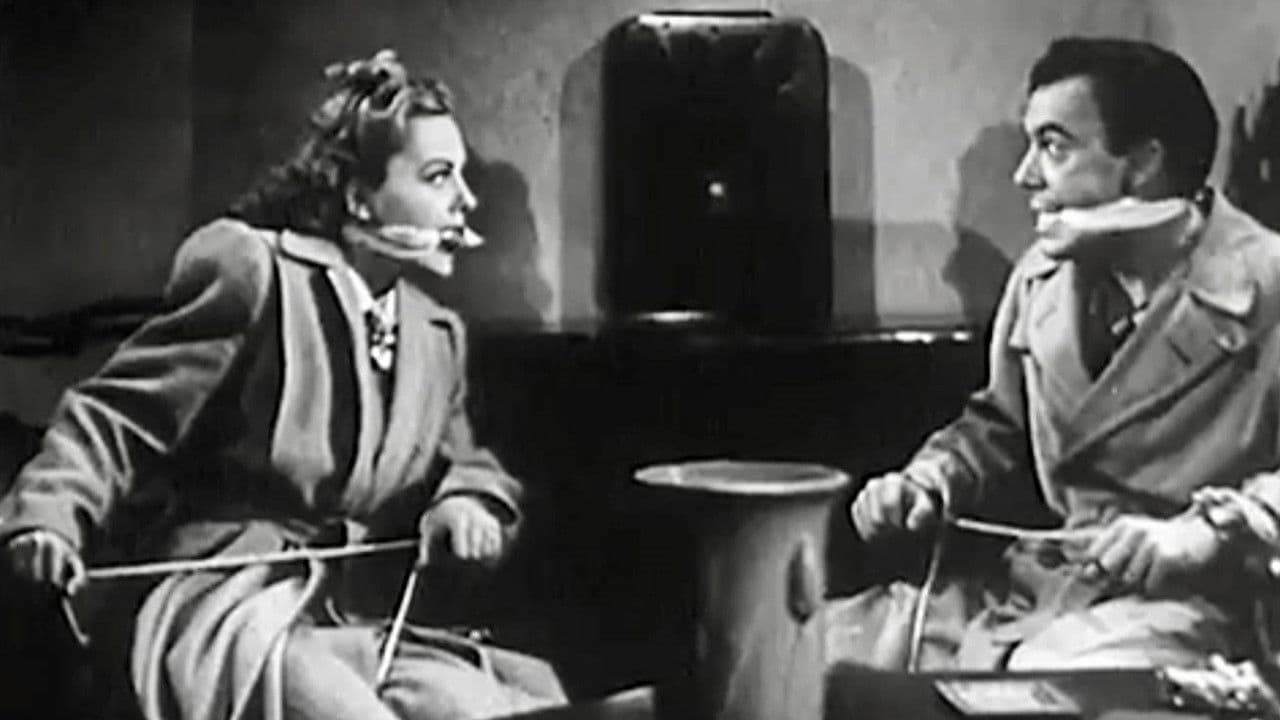 Backdrop – One Thrilling Night