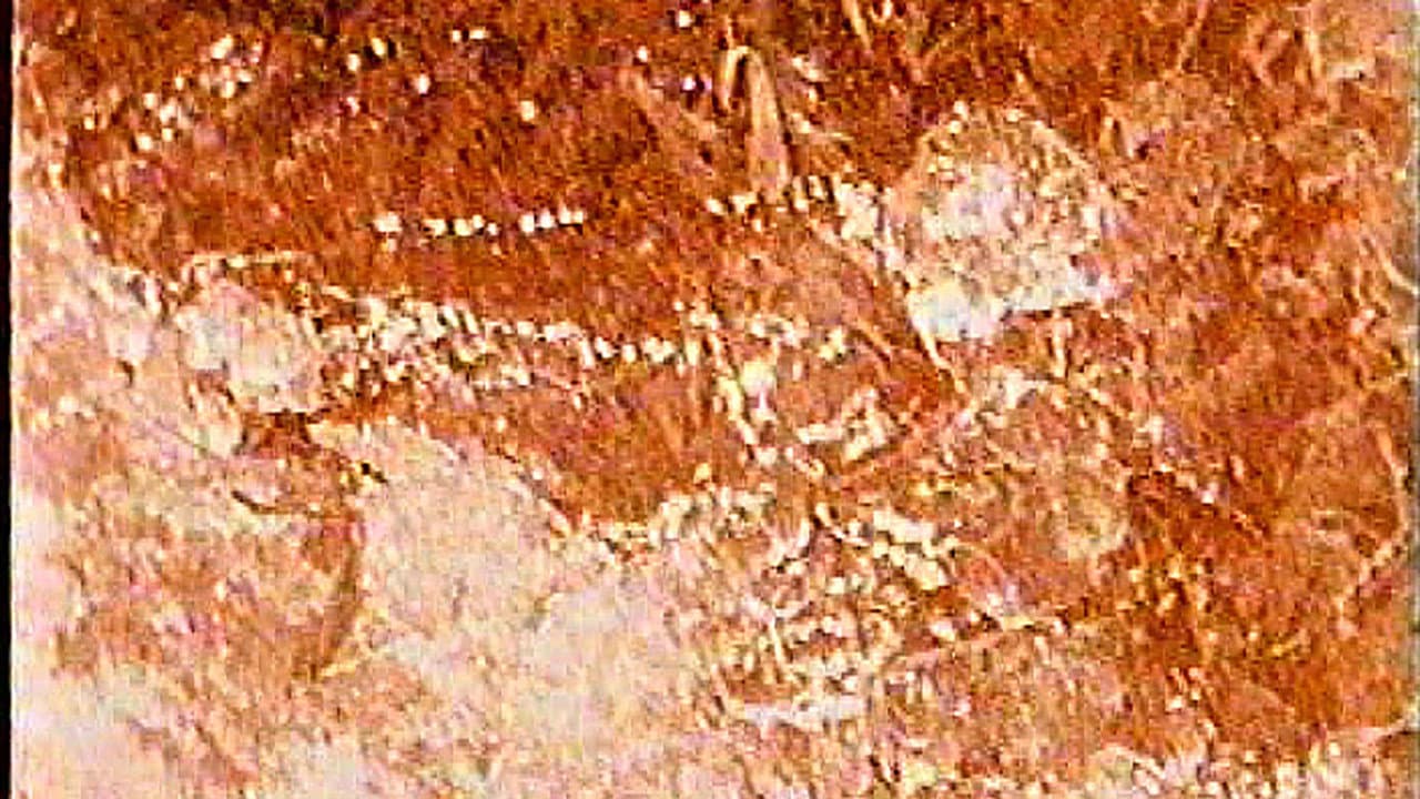 Backdrop – Кончина