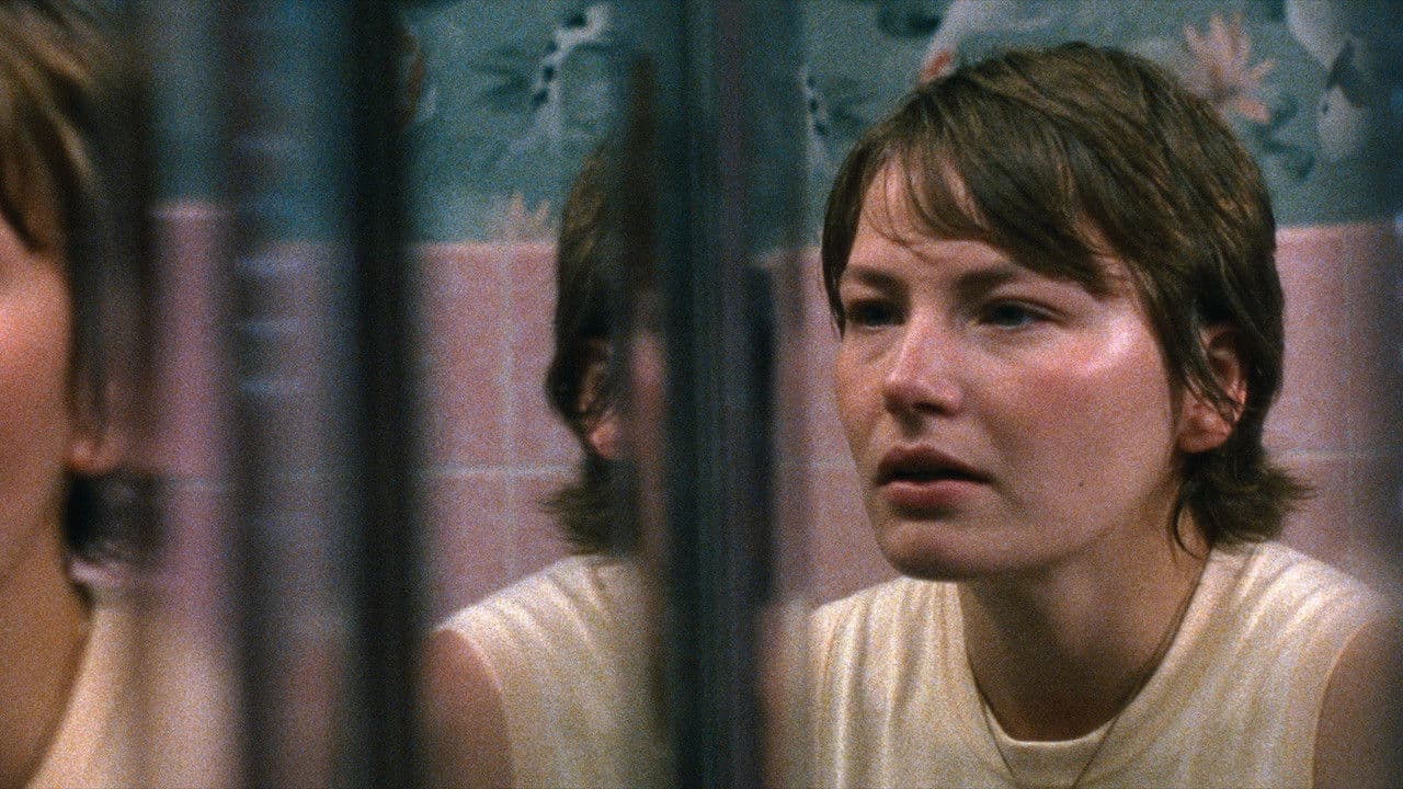 Backdrop – Immaculata