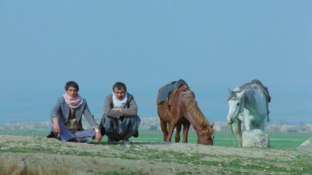 Backdrop – Yol - Der Weg