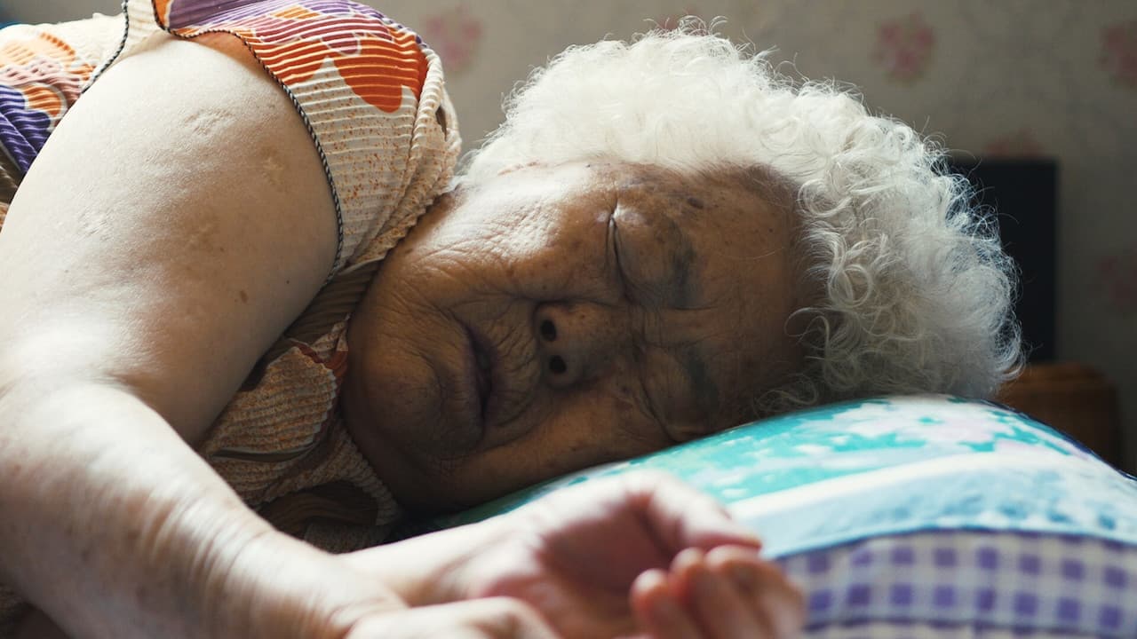 Backdrop – 에움길