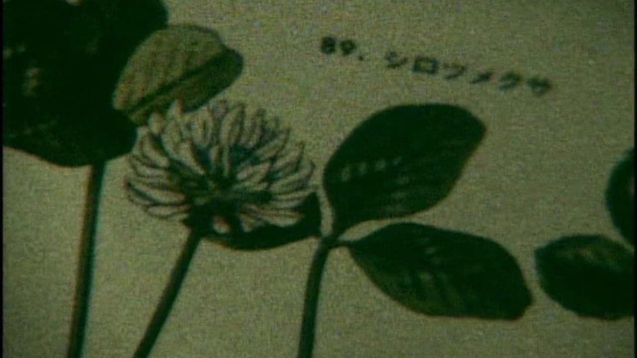 Backdrop – 世界はときどき美しい