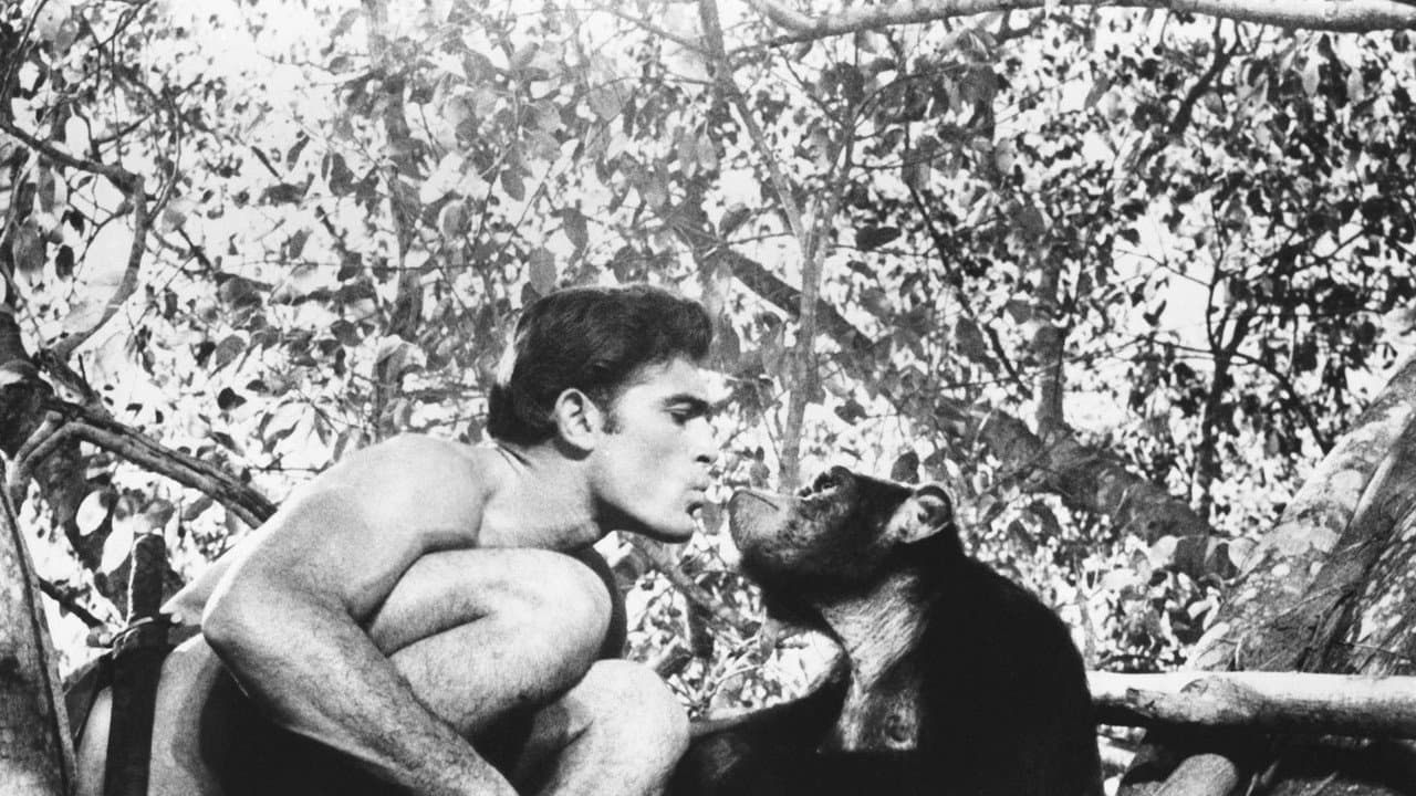 Backdrop – Tarzan und die goldene Stadt
