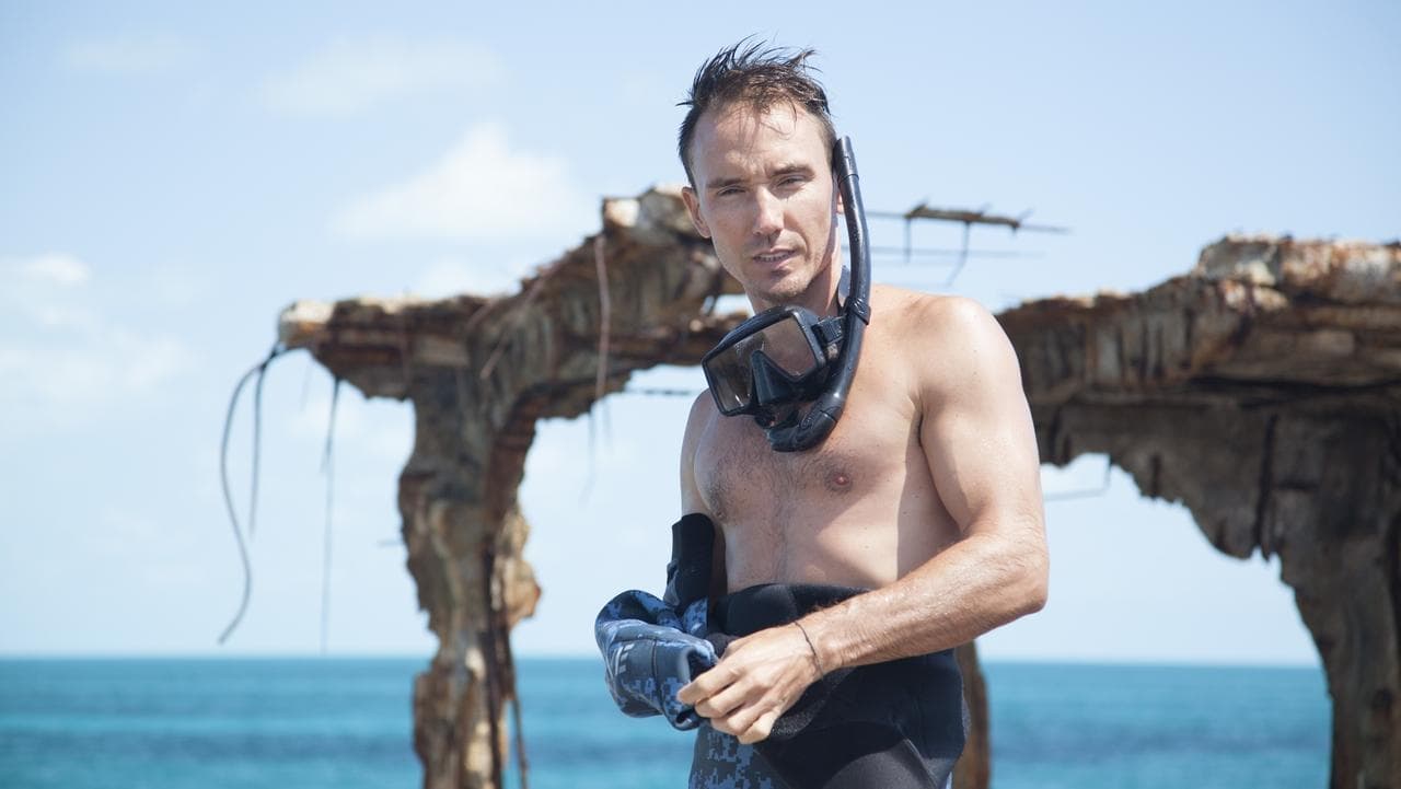 Backdrop – Sharkwater: Die Ausrottung