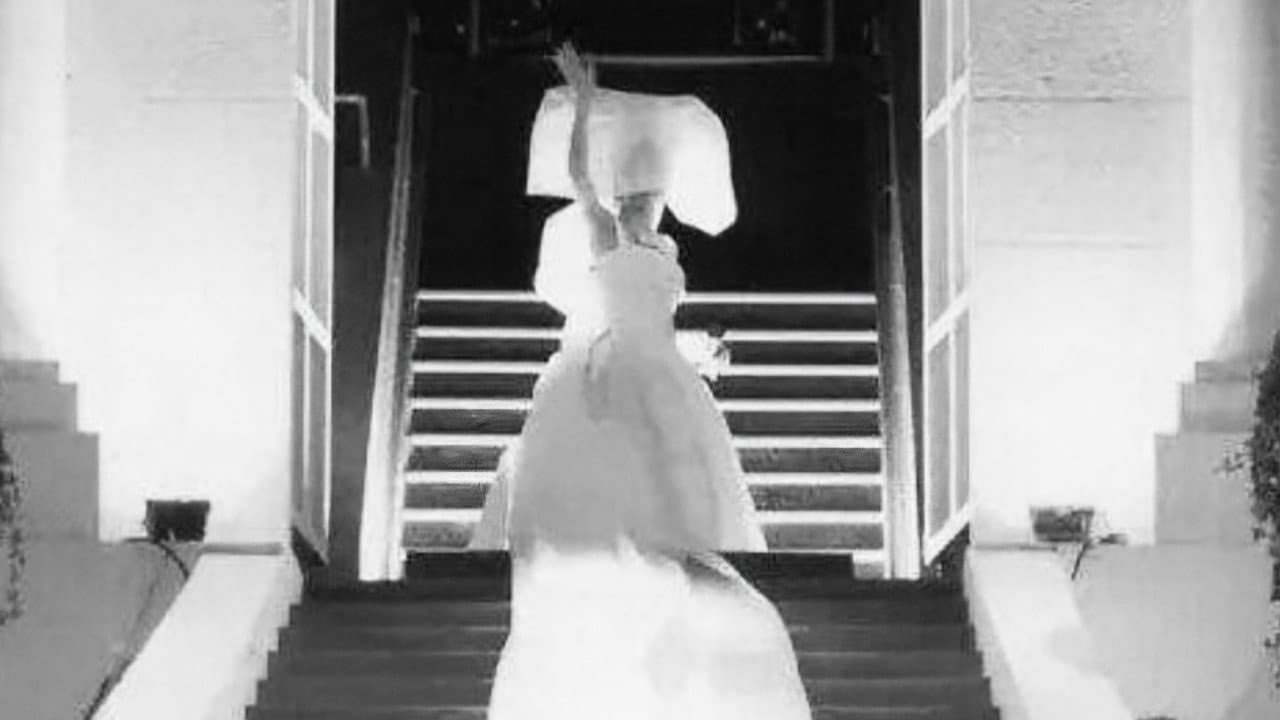 Backdrop – Anita Classic Moment Live