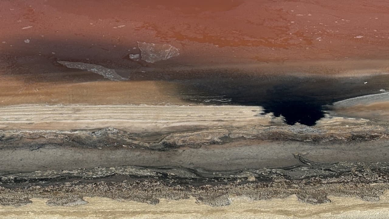 Backdrop – موت اخضر