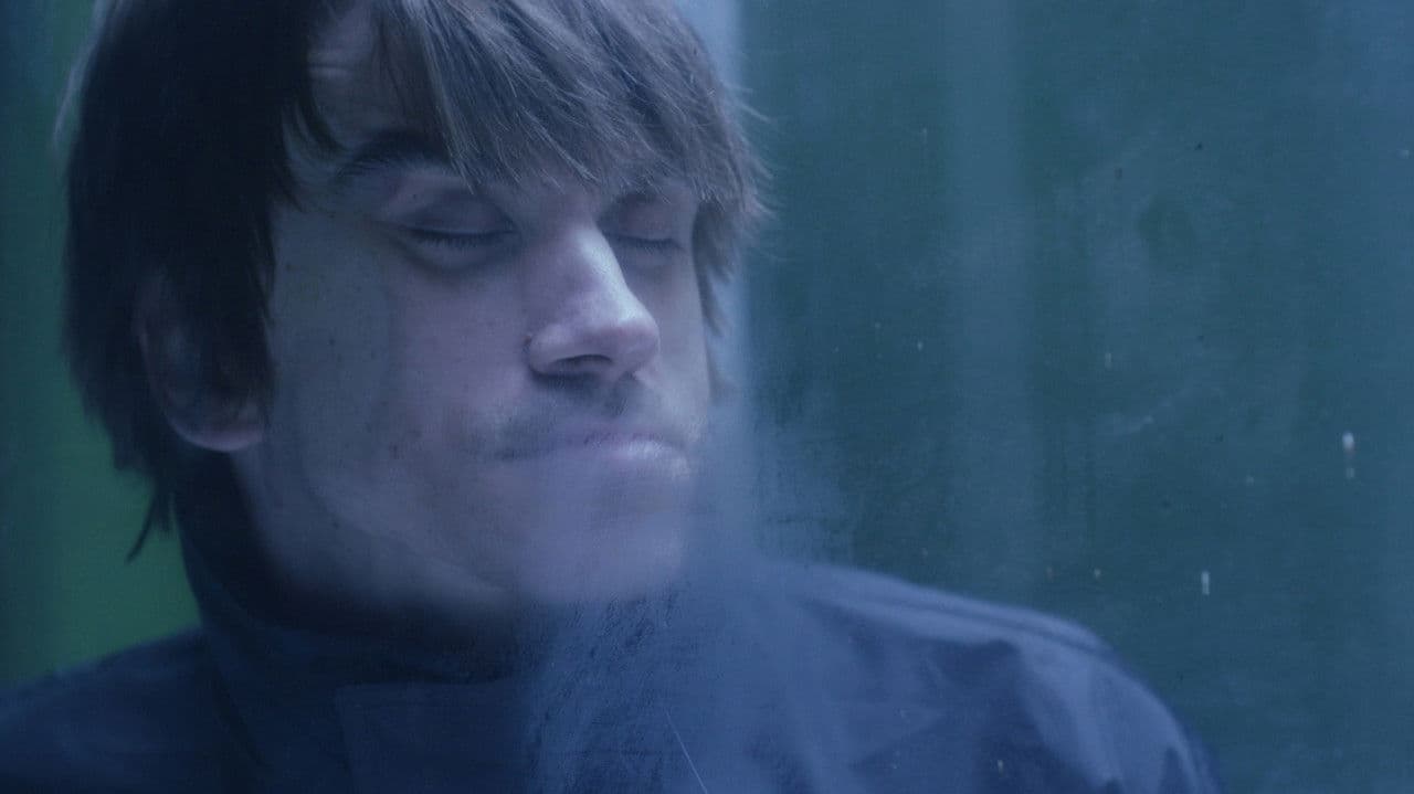 Backdrop – Papagajka