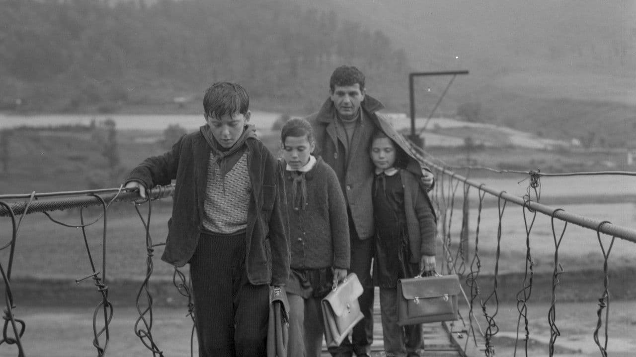 Backdrop – Lumë drite