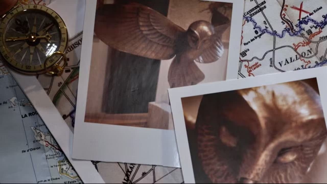 Backdrop – A la poursuite de la chouette d'or