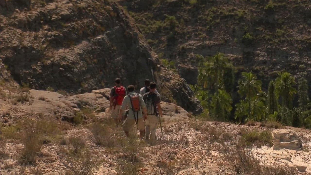 Backdrop – Madagascar: The Lost Makay