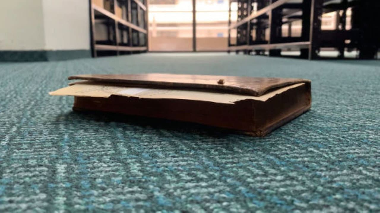 Backdrop – O Caboclo