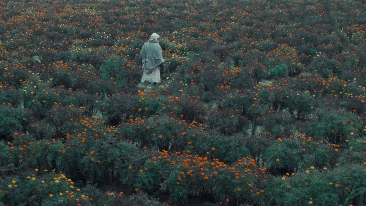 Backdrop – खाल बछड़ा