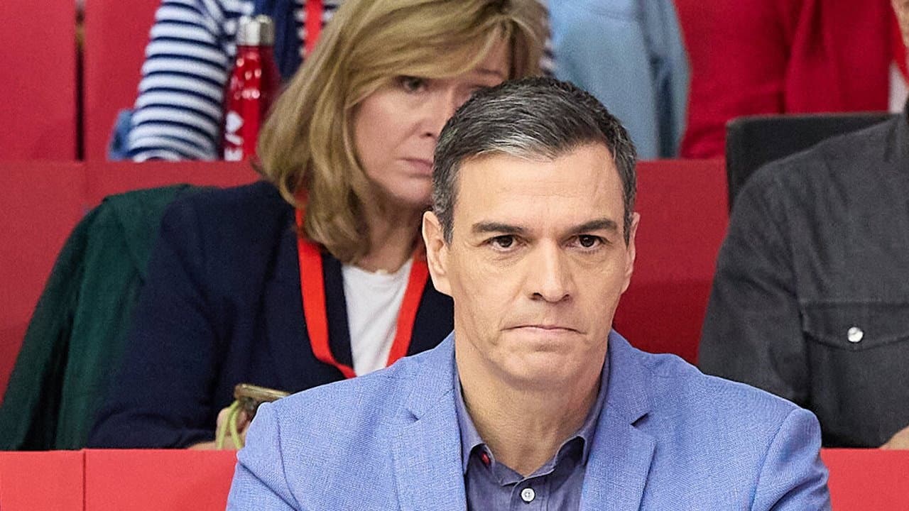 Backdrop – Sánchez S.A. Una historia de corrupción