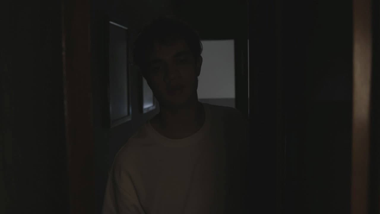 Backdrop – HOLÍSTICO
