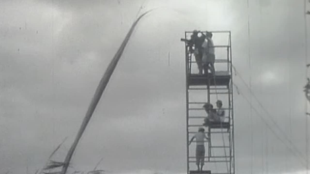 Backdrop – Onibaba : Film Location