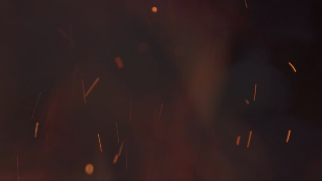 Backdrop – Colisión