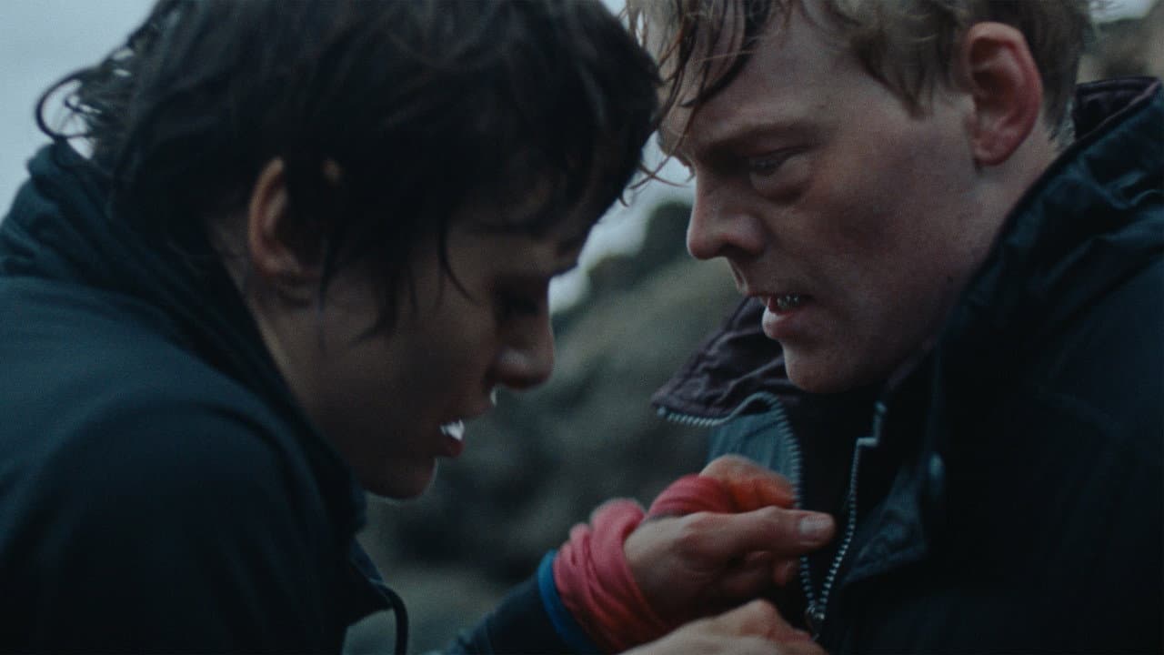 Backdrop – Katarakt