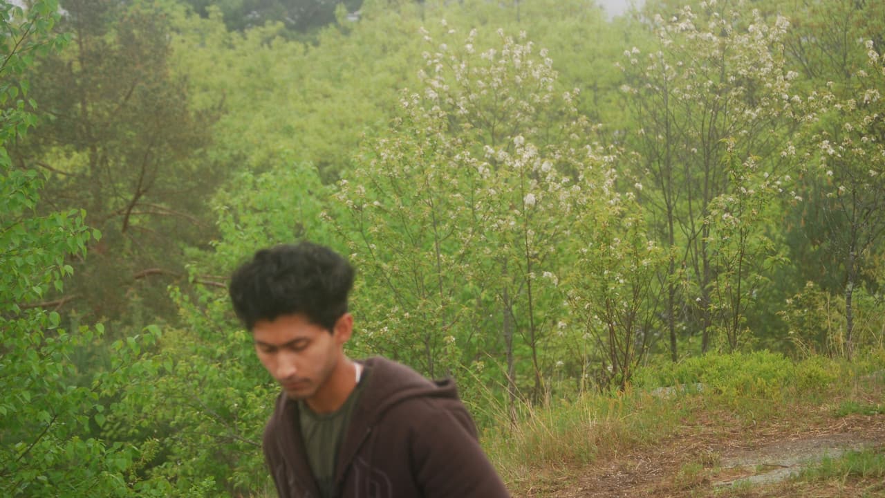 Backdrop – REMNIRA