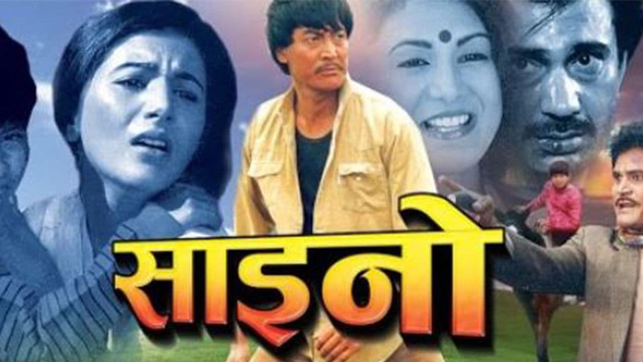 Backdrop – साईनो