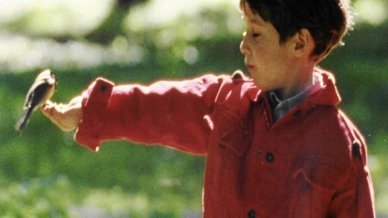 Backdrop – Wszystko może się przytrafić