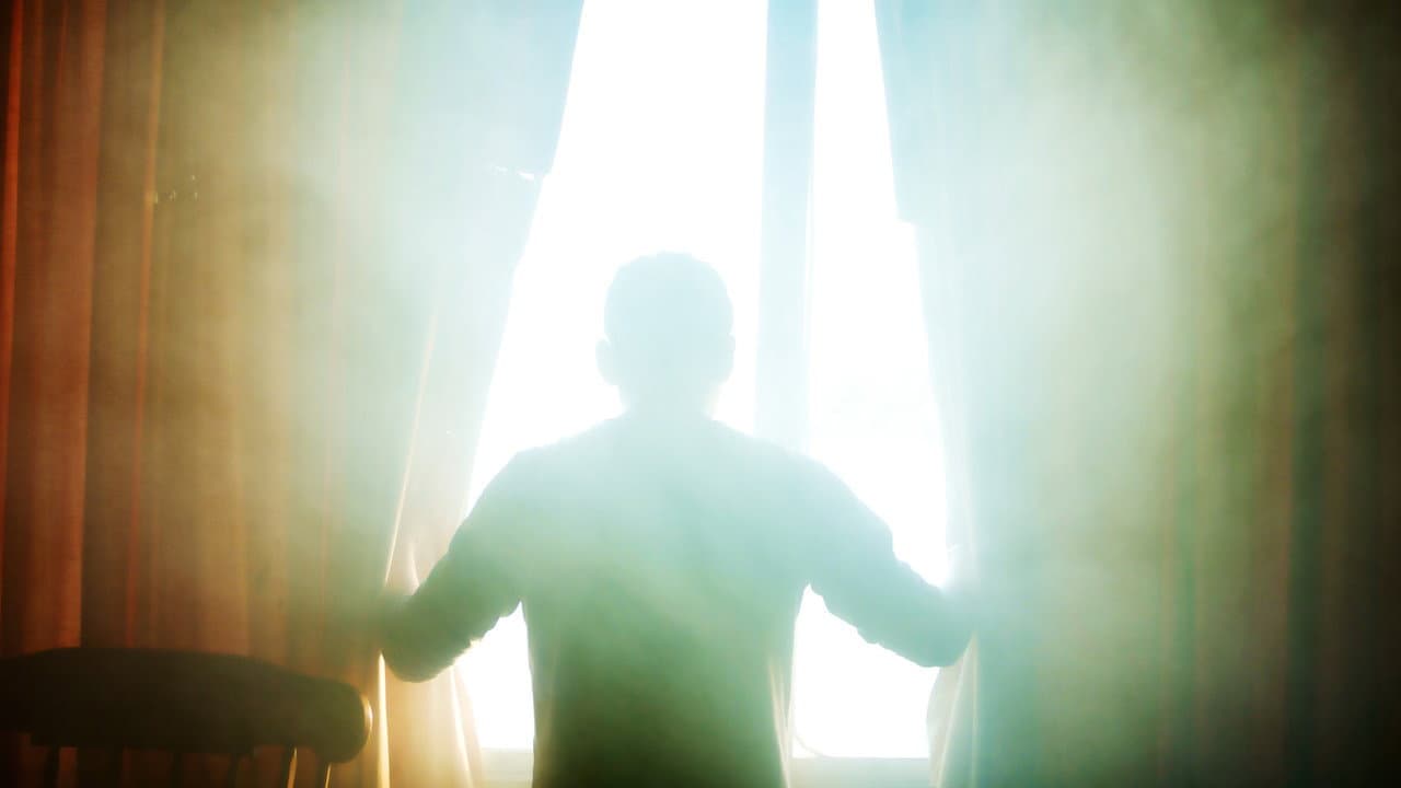 Backdrop – Jaula para perros