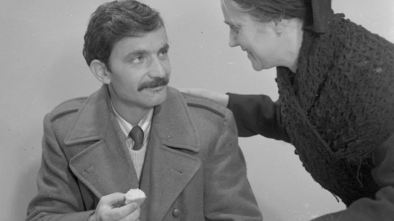 Backdrop – Përballimi