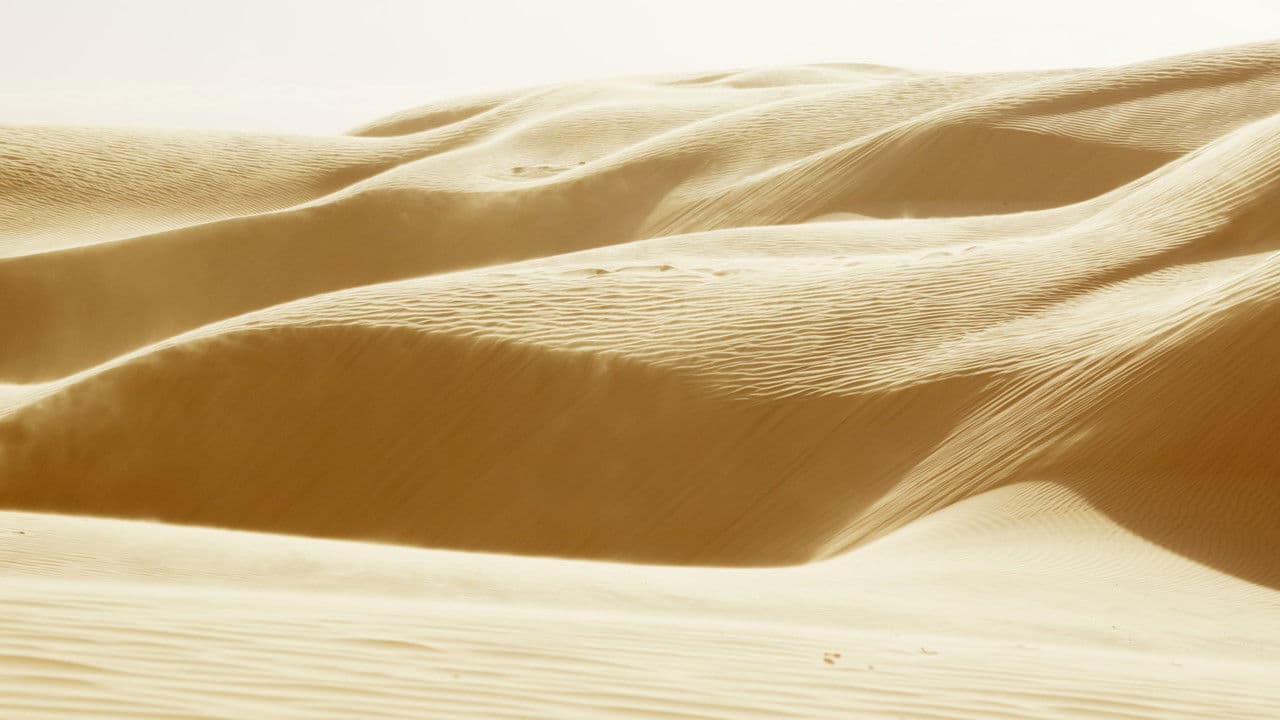 Backdrop – El Otro Lado