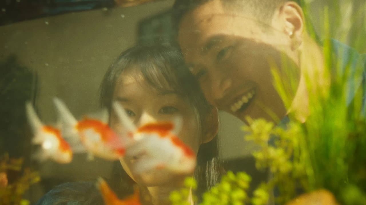 Backdrop – Đàn Cá Gỗ