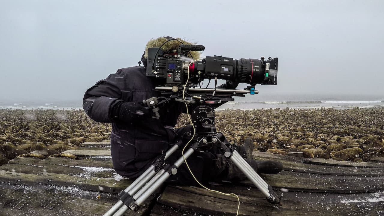 Backdrop – Our Planet: Behind the Scenes