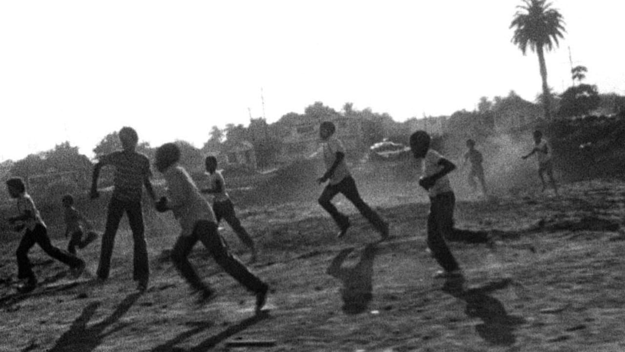 Backdrop – Schafe töten