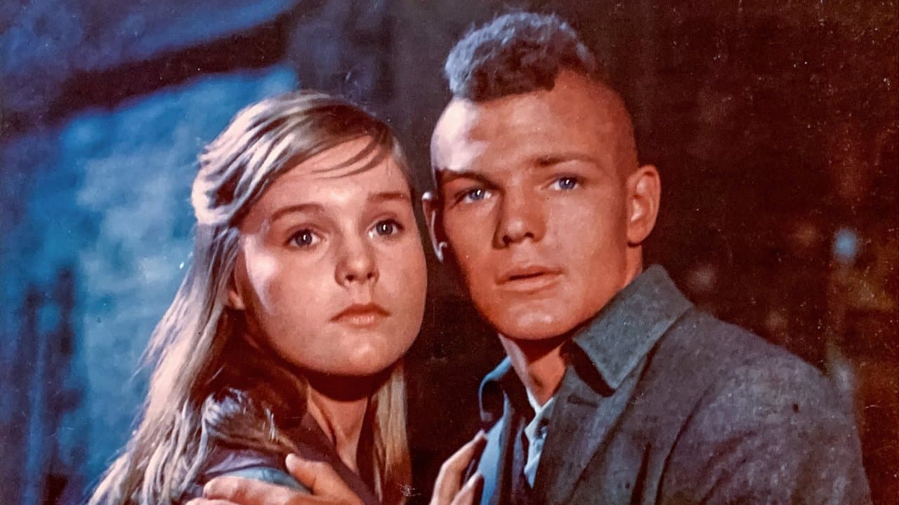 Backdrop – Das Herz eines Indianers