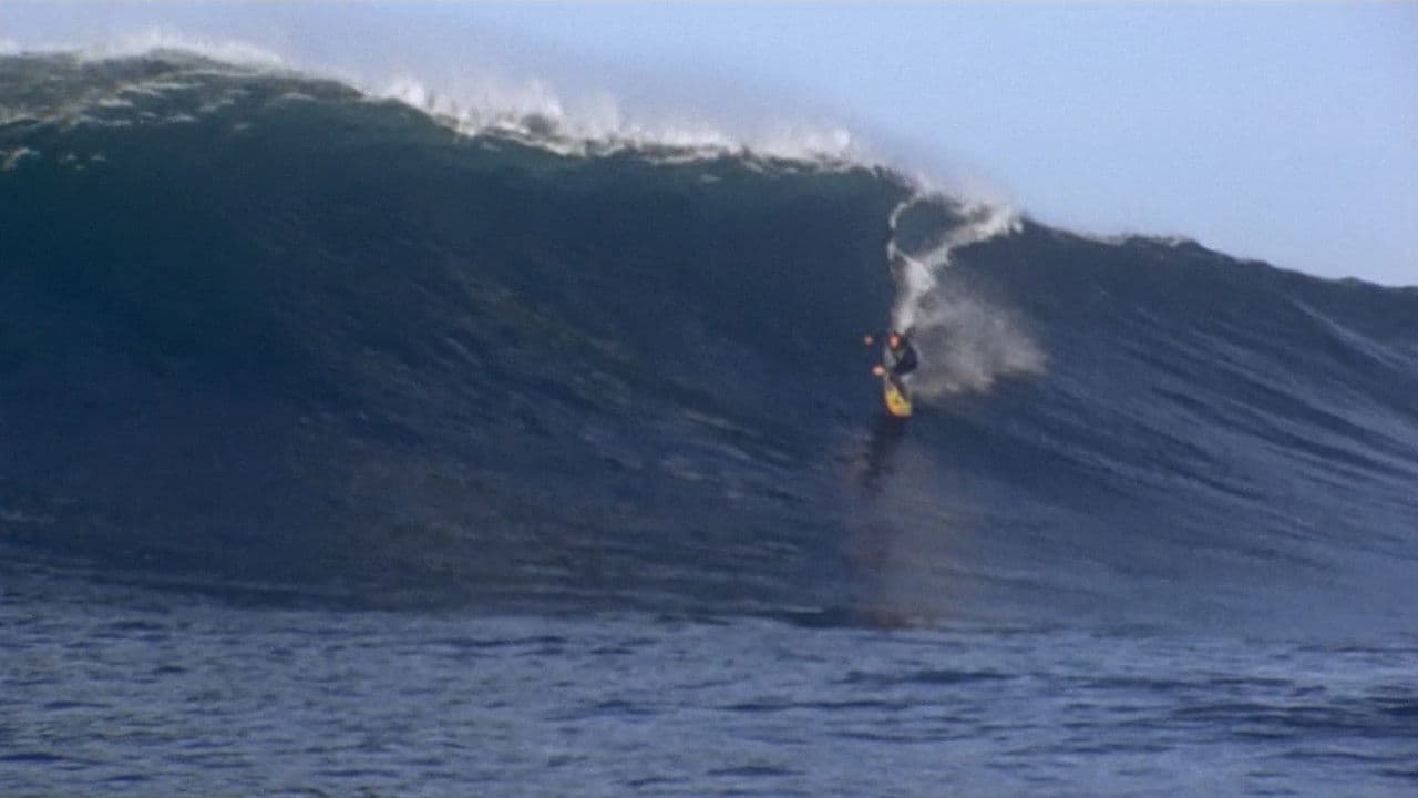 Backdrop – Billabong Odyssey