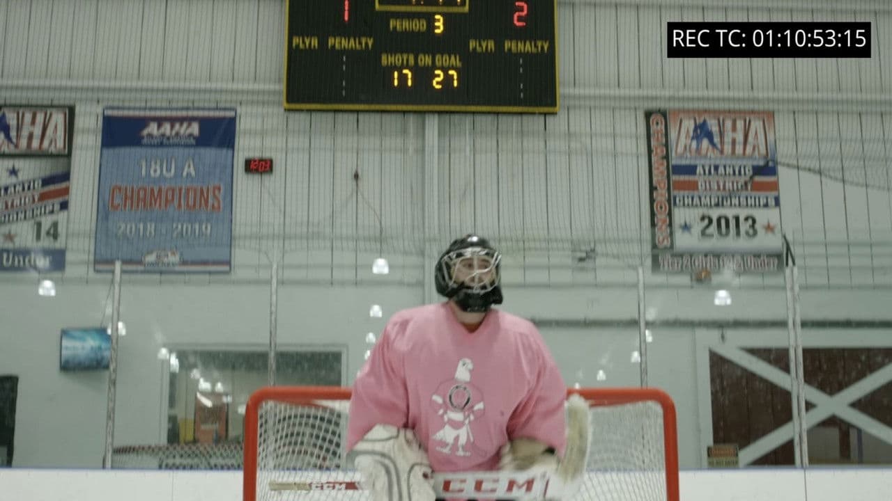 Backdrop – Pink the Rink