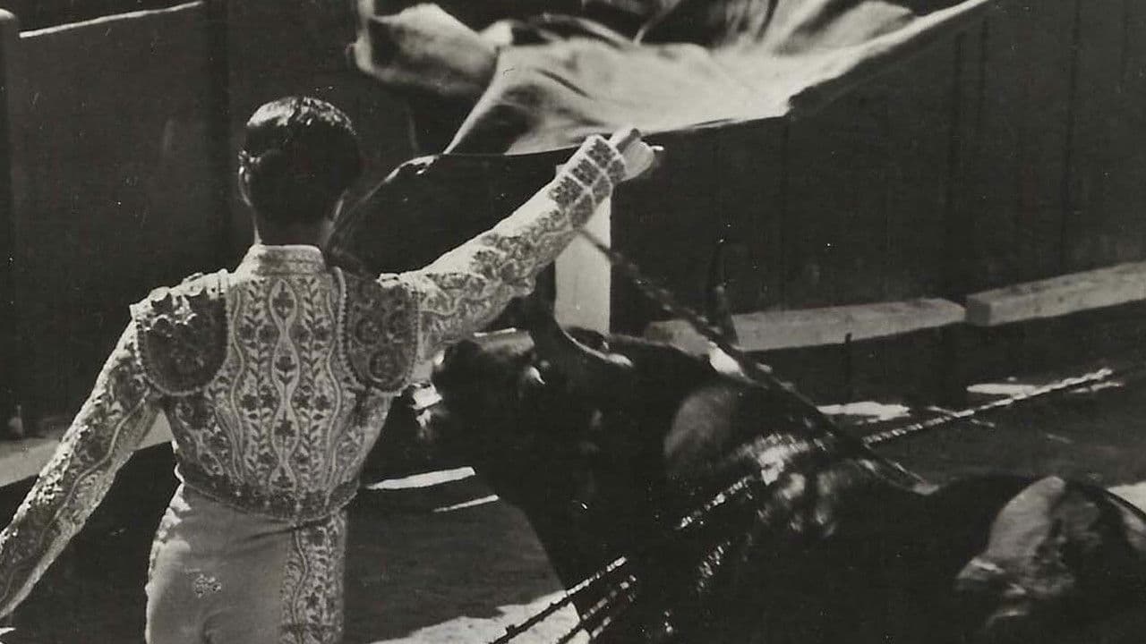 Backdrop – Corrida Interdite