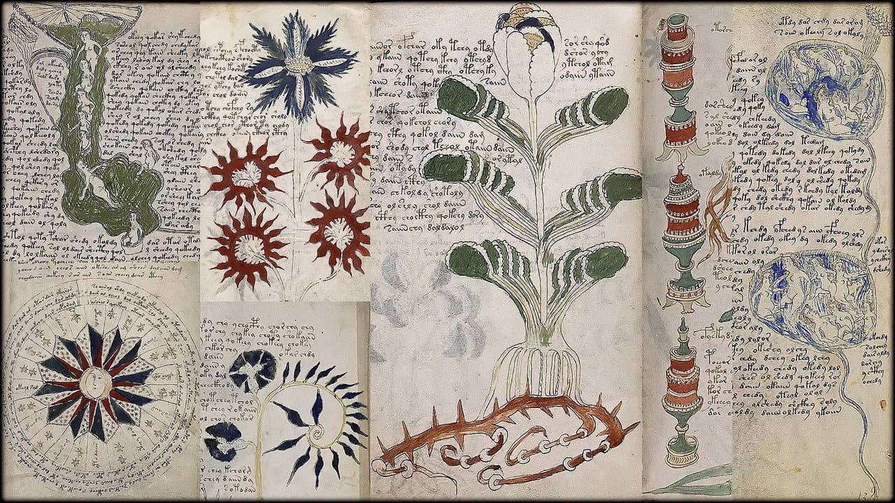 Backdrop – Das Voynich-Manuskript - Die geheimnisvollste Handschrift der Welt