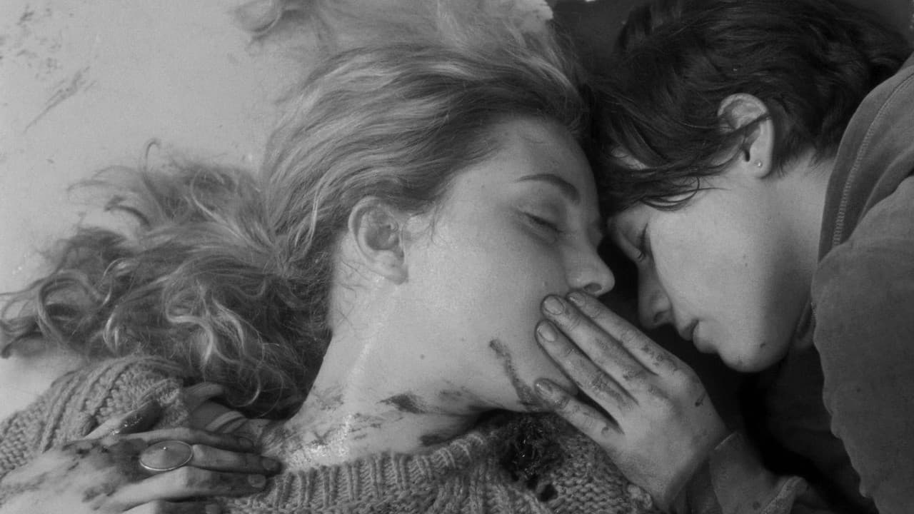 Backdrop – Polytechnique