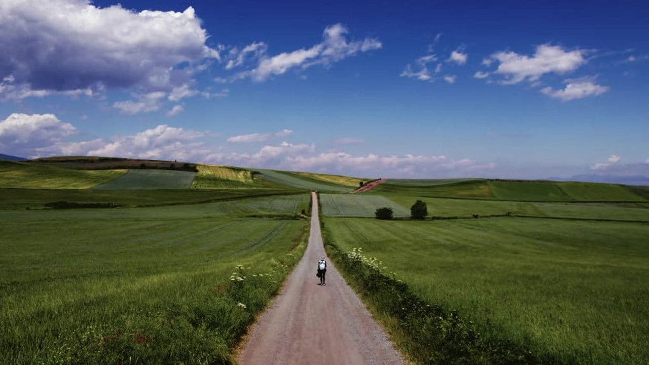 Backdrop – 엘 카미노