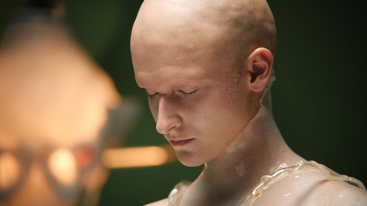 Backdrop – Dziwnie być człowiekiem