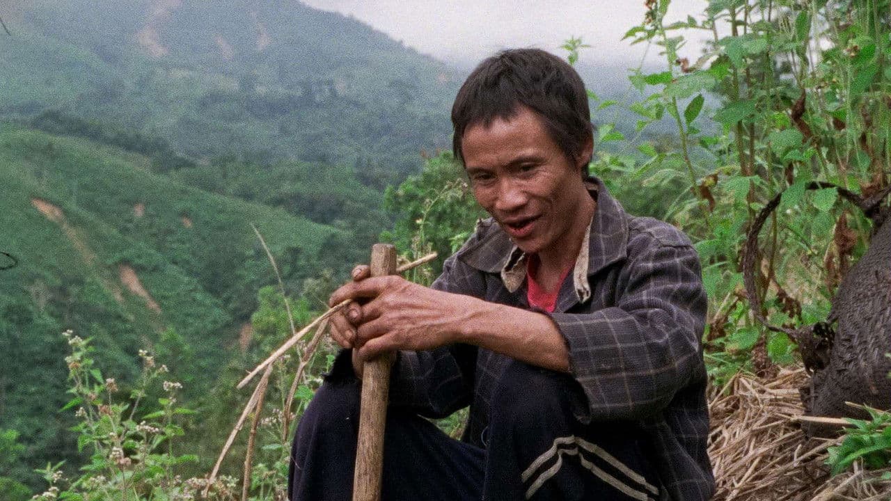 Backdrop – Nhà Cây