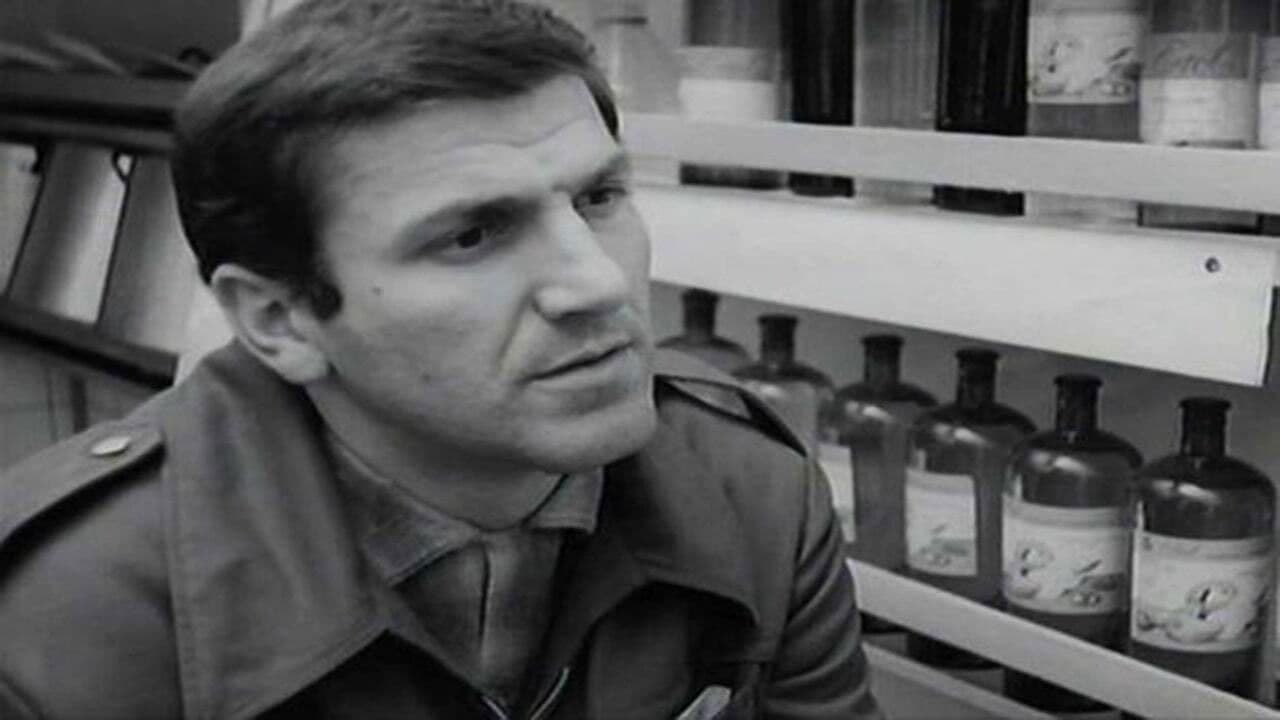 Backdrop – Povratak