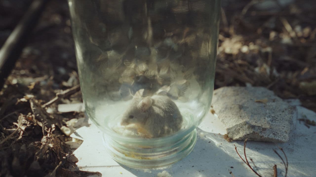 Backdrop – Новий дім